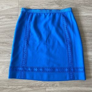 NWT Ann Taylor Lace Trim A-Line Skirt